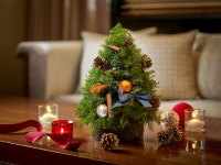 서울신라호텔, 크리스마스 트리 제작 원데이 클래스 선보여