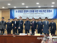 국내 OTT 레드오션 진입…글로벌 진출 위해 국가 지원 필요 [OTT온에어]