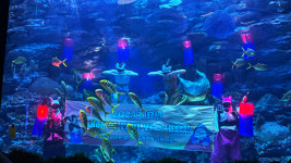 씨라이프 부산 아쿠아리움, 설 맞이 이벤트·선물 증정