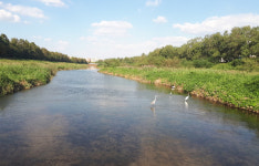 인천 연수구, 관리권 이관 승기천 명품 하천 만든다