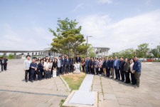 60만 돌파 인천 서구, 100년생 소나무 식재