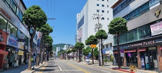 이천시 거리 경관 개선 명품 가로수길 조성