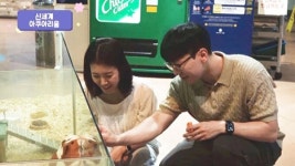 대구 동구, 여름에 놀러가기 좋은 명소 소개 영상 제작