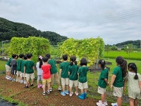 파주시,도시 아이들을 위한  지능형 농장 견학 프로그램 진행