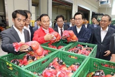 정황근 농림부 장관, 보은과수거점산지유통센터 방문