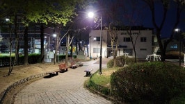 충주시, 도시공원 야간조명 개선 사업 마쳐