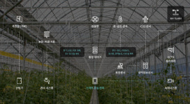 [종목이슈] 대동, 중동 스마트팜 찐 수혜 기대↑