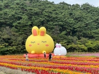 고창 노동골 꽃정원단지에서 가을 나들이 즐겨보세요