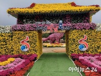 [포토] 2023 전남 해남미남축제장 국화 향연