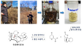 K-약용식물 광대싸리에서 신경질환 치료제 후보물질 합성