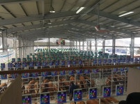 제천 우시장 ‘스마트 가축시장 플랫폼’ 서비스