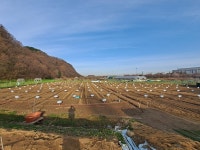 대구 수성구, 2024년 공영도시농업농장 분양자 모집