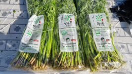 대구 동구, 청정 팔공산미나리 소비촉진행사 개최