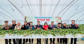 양평군, 전진선 군수 친환경딸기 수확 체험
