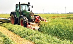 정읍시, 축산 조사료 생산 지원에 103억원 투입