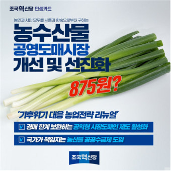 조국혁신당, '밥상 물가' 안정 공약…'경매 유통비' 줄인다