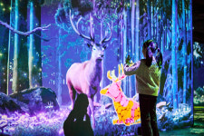 동물+미디어아트=서울대공원 원더파크 오픈 [영상]