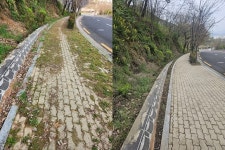 대구 달성군, 참꽃제 맞이 비슬산 일원 도로 시설물 정비 실시