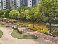 경산시, 남천둔치 봄꽃 향기 가득 눈길