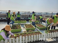오산시, 중앙동주민센터 옥상에 텃밭 해뜰농장 조성