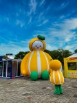 성주군, 성주참외&생명문화축제 기간 중 착한 물가 추진