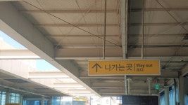 대구교통공사, 3호선 수성시장역, 비둘기 배설물 완벽 차단