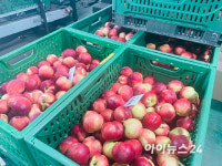 인기 높아진 신비복숭아…이마트가 주목하는 이유 [현장]