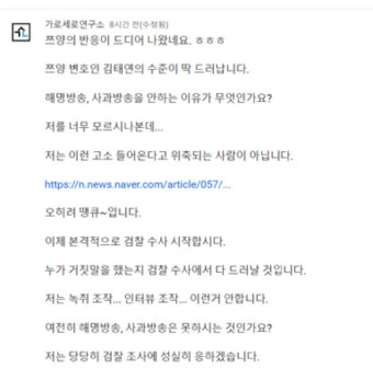 쯔양, 가세연 '허위사실 유포' 고소…김세의 