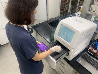 서울시, 지자체 최초 개 종 감별 검사체계 선진 동물복지 문화 정착