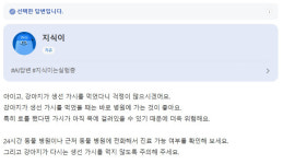 "아이고, 걱정이 많으시겠어요"…지식인 질문에 답변 남기는 네이버 AI