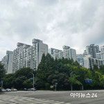 우리 단지부터…분당 재정비 선도지구 준비 스퍼트 [현장]