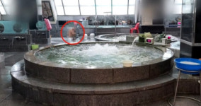 대중목욕탕 홍보 사진에 모자이크도 없는 남탕 사진이 버젓이…