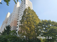 신고가라지만 사야죠…불붙은 목동 재건축 [현장]