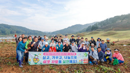 달콤한 고구마로 이웃 사랑 나눠요…성주읍지역사회보장협의체 영농사업 구슬땀