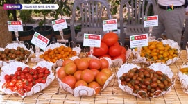 광주시, ‘퇴촌토마토거리’ 명예도로명 부여…토마토축제 알린다