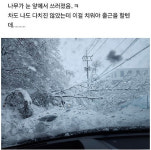 광기의 K-직장인…나무가 쓰러지고 육교가 무너져도 출근