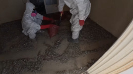 소름 돋는다⋯2년간 비둘기가 살았던 아파트, 깃털·배설물로 뒤범벅