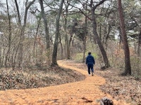 고창군, 고창읍 월곡 숲길 산책로 새단장