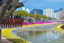 순창 양지천, 꽃천지 핫플레이스로 부상