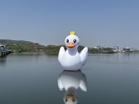 천안 성성호수공원에 부성이 떴다