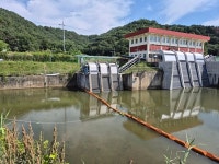 성주군, 폐참외 신속 수거로 낙동강 수질오염 선제 대응