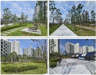 부산 에코델타시티 공원·녹지 이달 조기 개방…폭염 속 시민 쉼터 제공