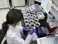 고창 복분자, 잔류농약 걱정말고 드세요