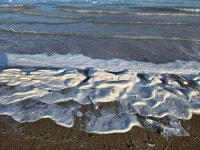 포항시, 죽천리 해안 거품 발생 원인 규명...자연적 혼합 반응으로 확인