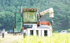 성주군 용암면, 첫 벼베기…풍년의 기쁨과 나눔 함께