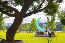 가을꽃 만나러 떠나요…경기도 가을꽃 여행지는?