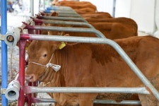 장수군, 장수한우 탄소배출관리시스템 구축 추진