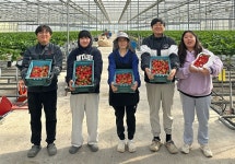 당진 스마트팜사관학교, 첫 수확 나왔다