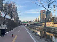 초역세권 카드 통할까⋯보문 신축 분양가 12억의 벽 [현장]