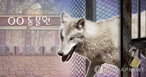 대전 오월드 동물원서 늑대 1마리 탈출…수색 작업 중